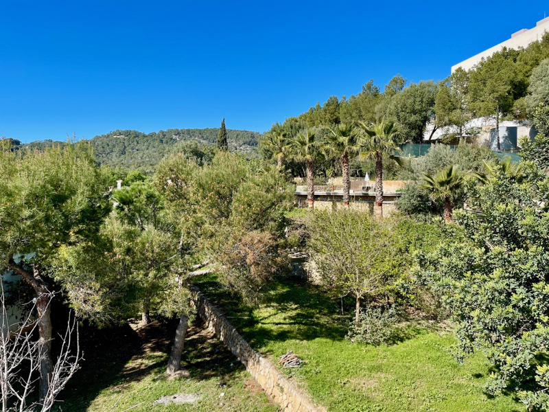 Fantastic finca in Palma, a few minutes from the center. Pool and guest house.