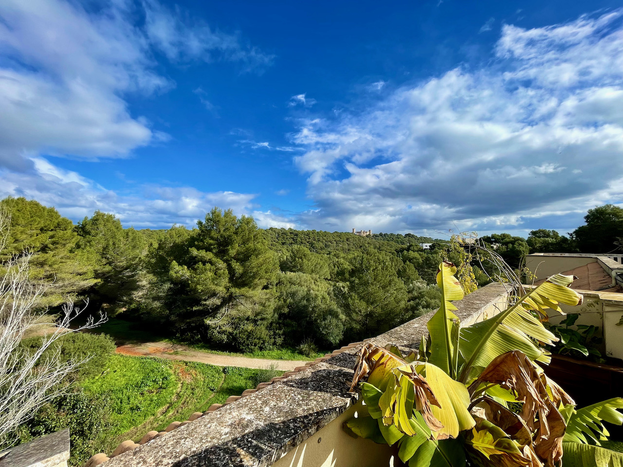 Penthouse mit Blick auf die Burg Bellver mit Parkplatz und privatem Pool in Bonanova, Palma.