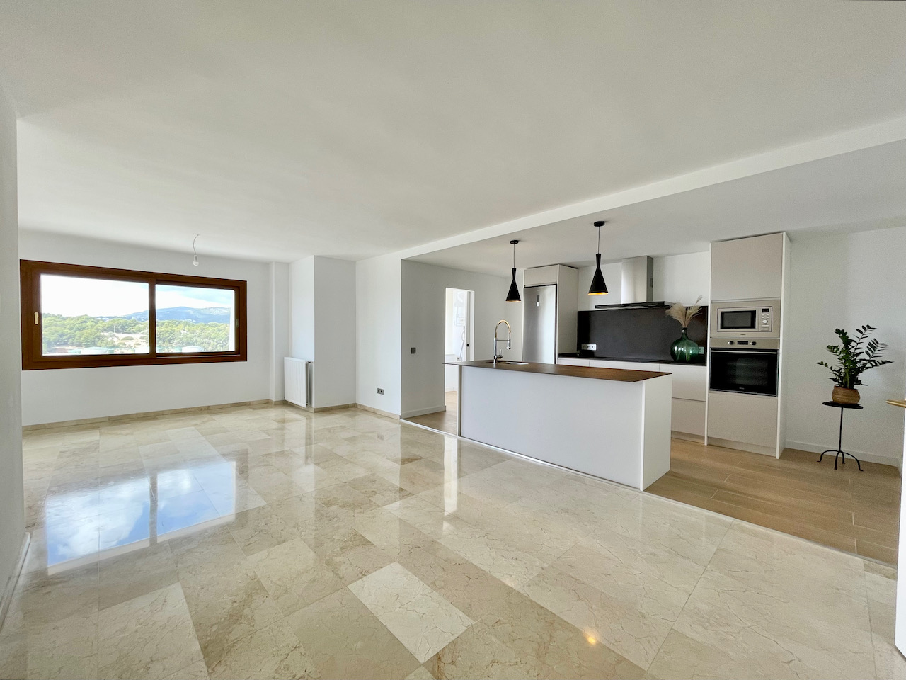Renovated penthouse with fantastic Sea views in Porto Pi
